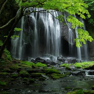 OHTAKI ITARU