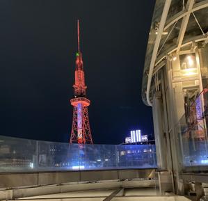 藤井 朝陽