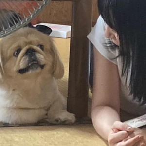 KIYOMI