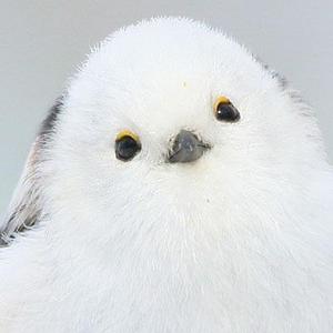 ゆち