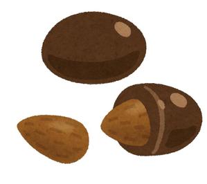 choconuts