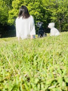 種村 美侑