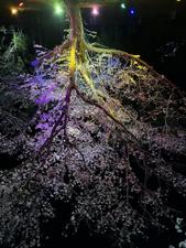 荒武慎太郎