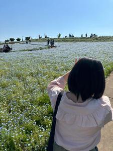 まき