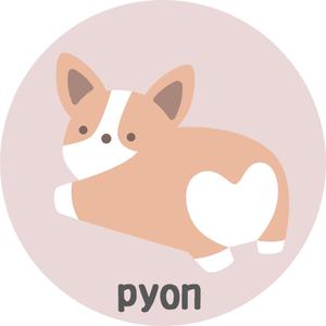 pyon326