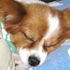 kigi