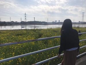 まきまき