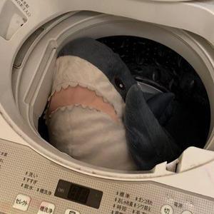 堀 勝太