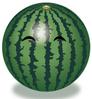suica