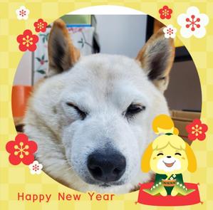 ふじ