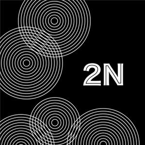 2N
