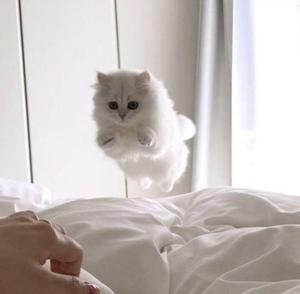 るる