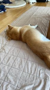 スヌーピー