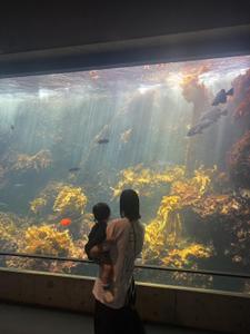 ひかる