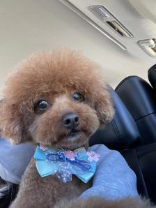 hiro