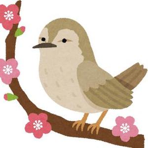 Warbler