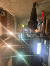 颯人櫻井