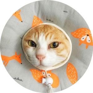 Nagashii@クオリティ管理の経験有