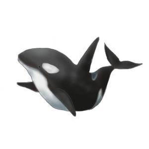マサユキ