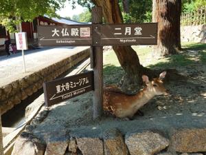 あー