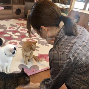 スギムラ マナカ