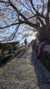 omizu