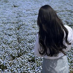 ACHI ｜ WEBデザイナー