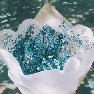 加藤恵理