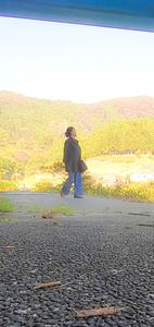 miyabi