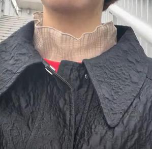 この ののこ