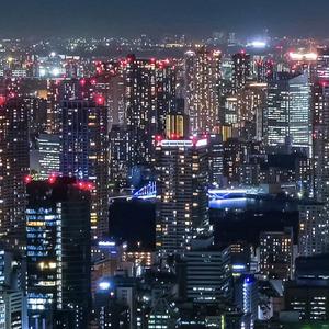 ジャパンコンサルティング合同会社