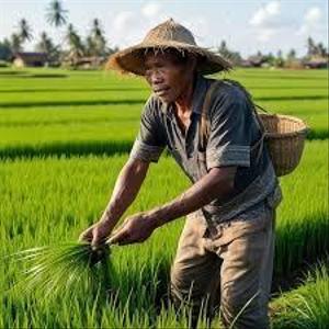 Farhan Ristiyanto