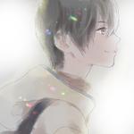 けいぷろじぇくと