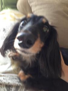 Coco