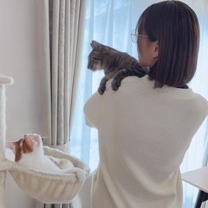 miya