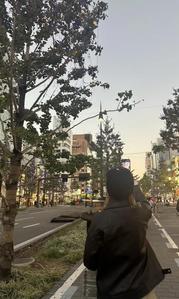山本 真帆