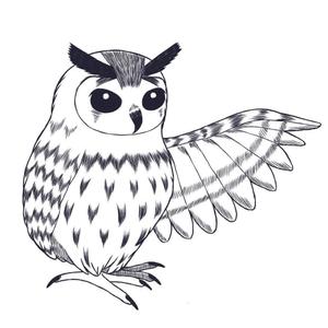 田中冬海