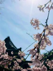 泉宮アキ
