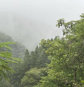 yama