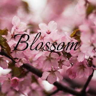 BLOSSOM