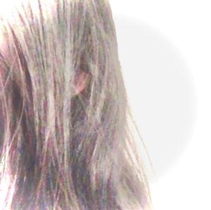 Riccia00