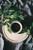 Mirai_work