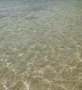 鷹野
