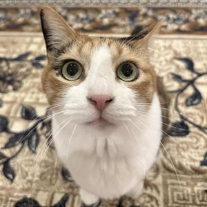 万騎 まゆみ
