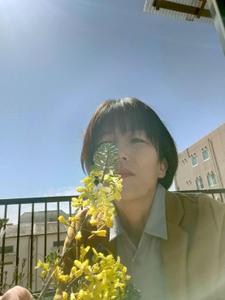 れいデザイン