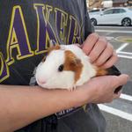 いっきの動画編集屋さん