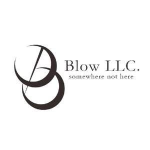 BLOW LLC