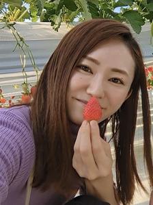 あおい
