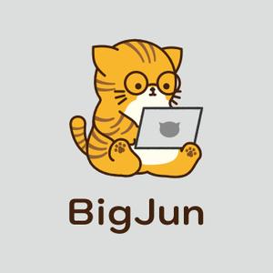 合同会社ビックジュン