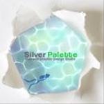 silver-palette